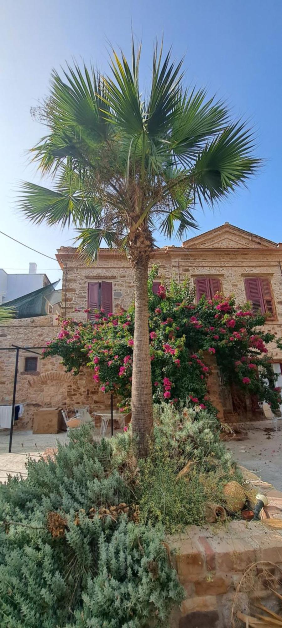 Апартаменты Garden Of Chios - Mosaic Экстерьер фото